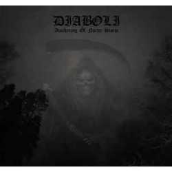 DIABOLI Awakening of Nordic Storm 12``LP